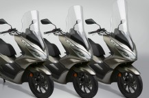 New Replacement Screens for the 2019-20 Honda® PCX150